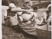 2017 - Hofstetten es war einmal - Höfe, Handwerk, Federvieh